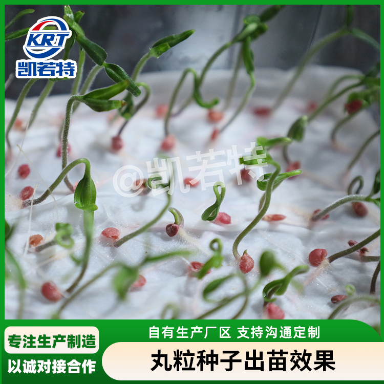 生菜丸粒种子