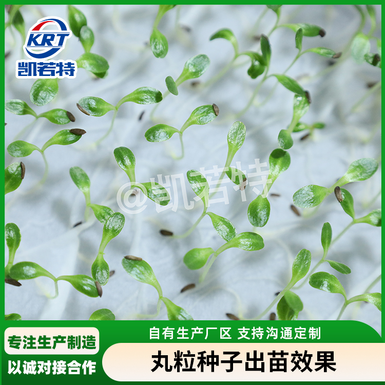 生菜丸粒种子