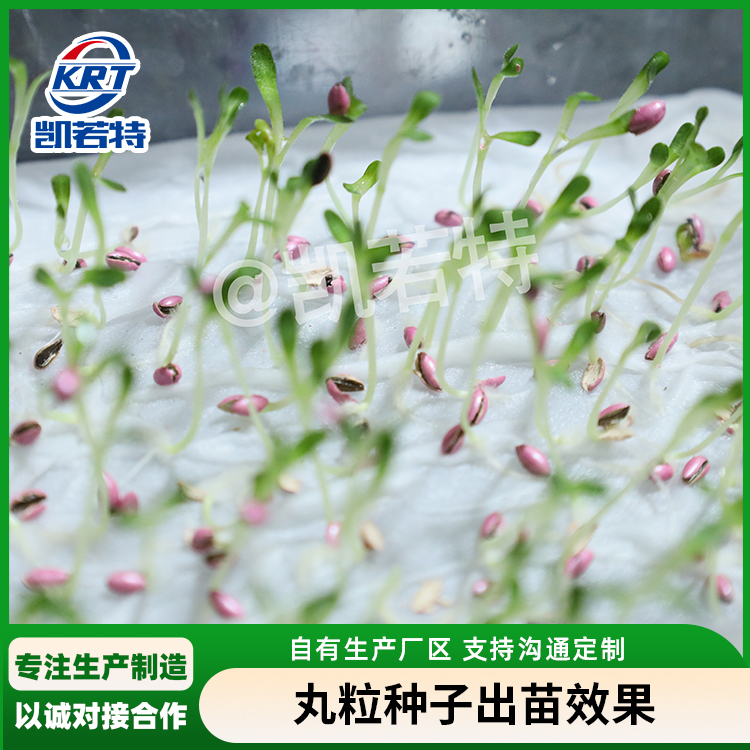 生菜丸粒种子