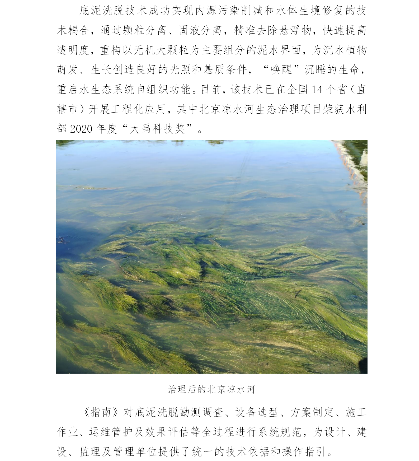 浅水型河湖
