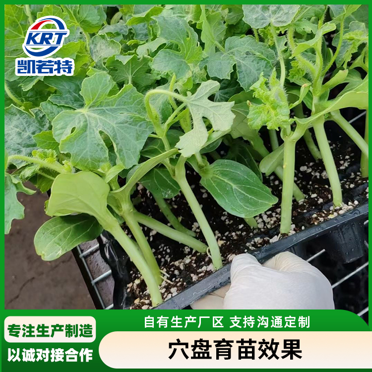 自动育苗机