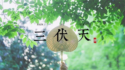 艾仲医