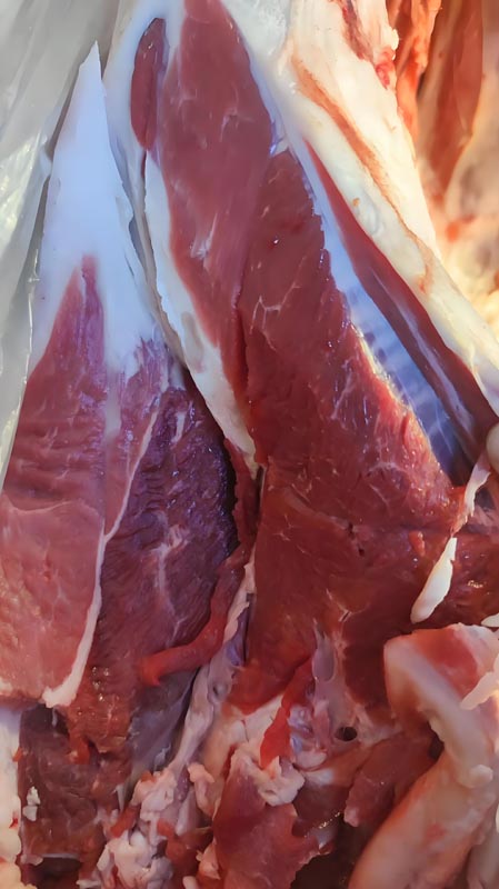 鲜羊肉