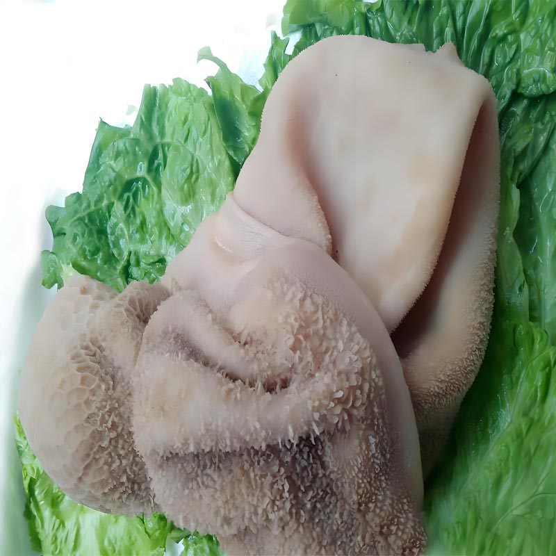 羊肚