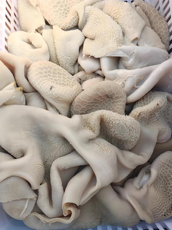 羊肚