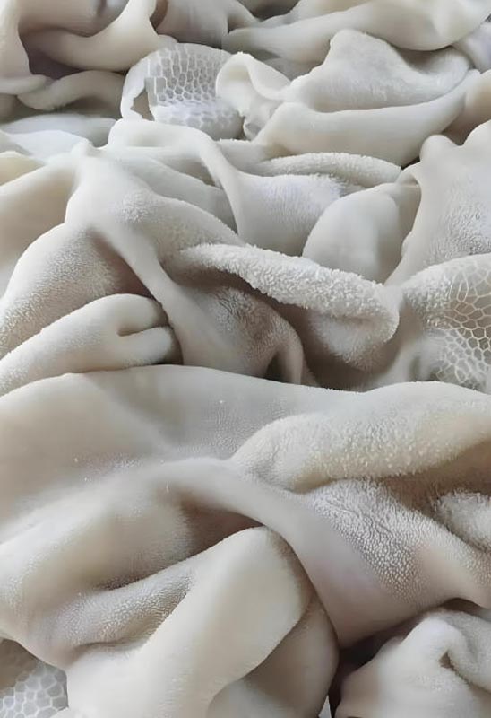 羊肚