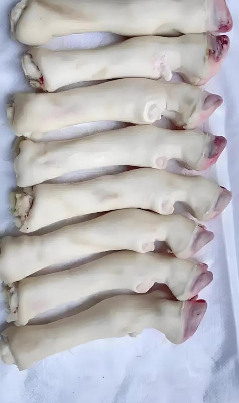 羊蹄
