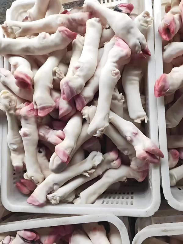 羊蹄