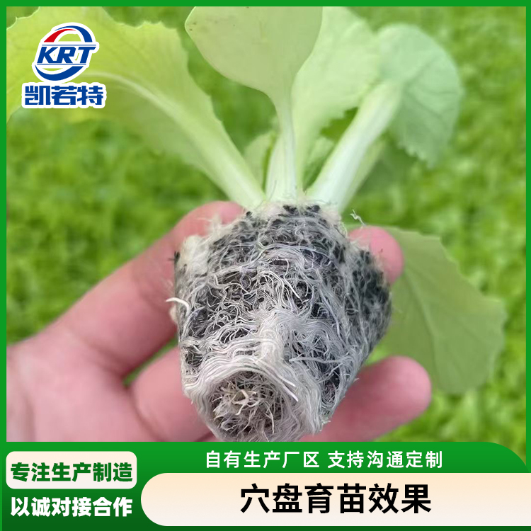 蔬菜穴盘育苗机