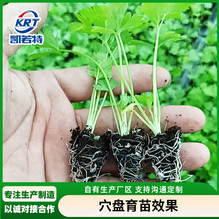 蔬菜穴盘育苗机