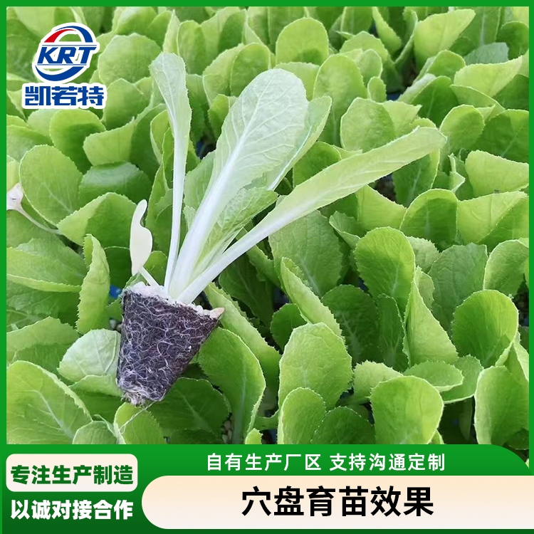 南瓜穴盘播种机