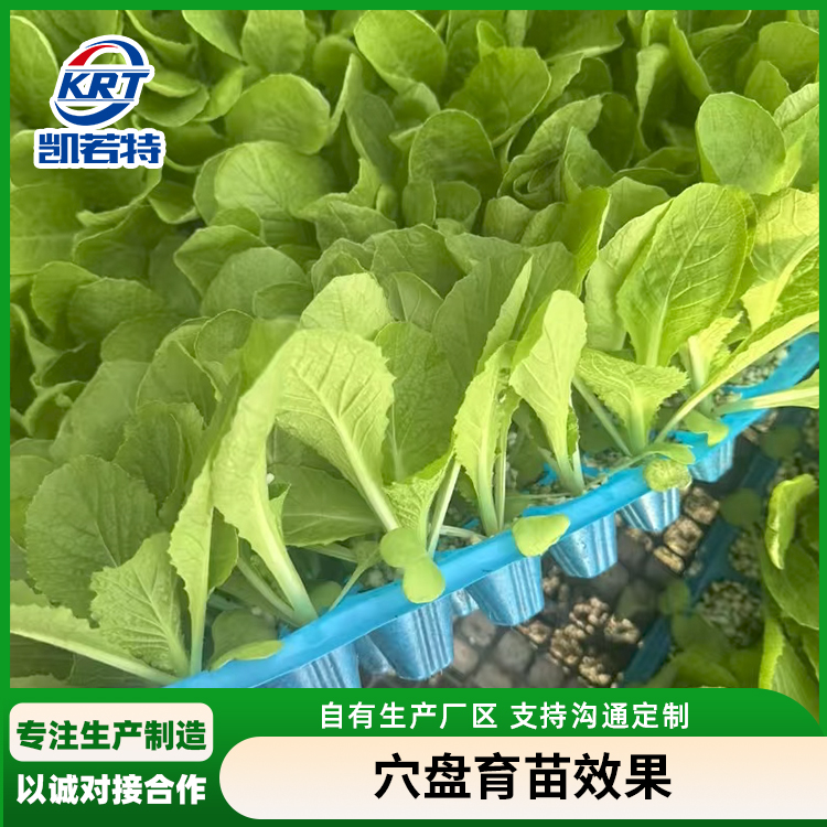 南瓜穴盘播种机