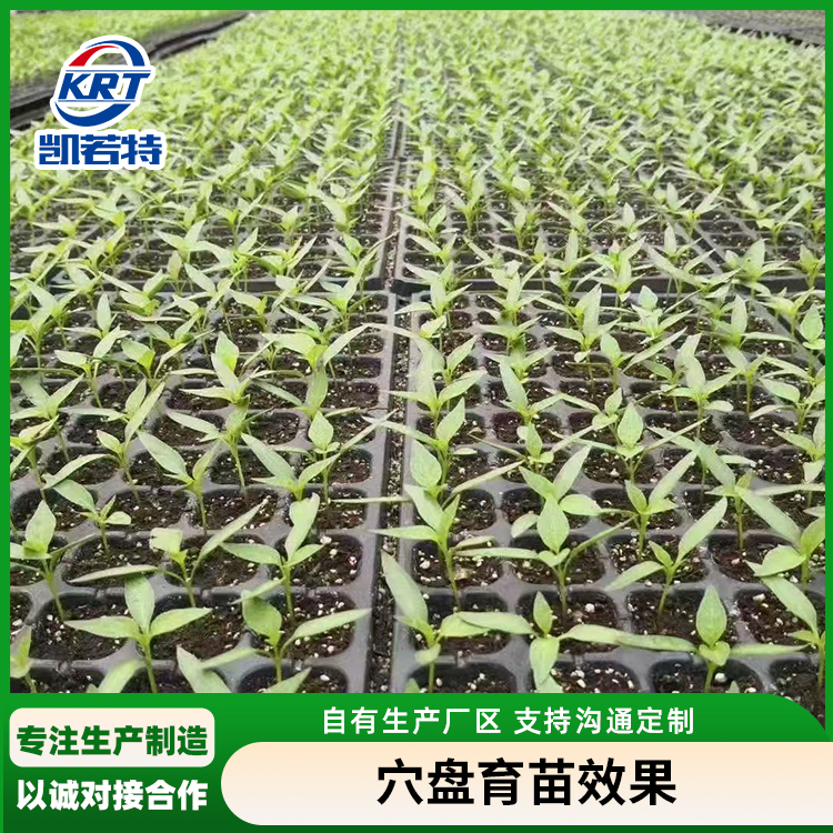 滚筒穴盘育苗机