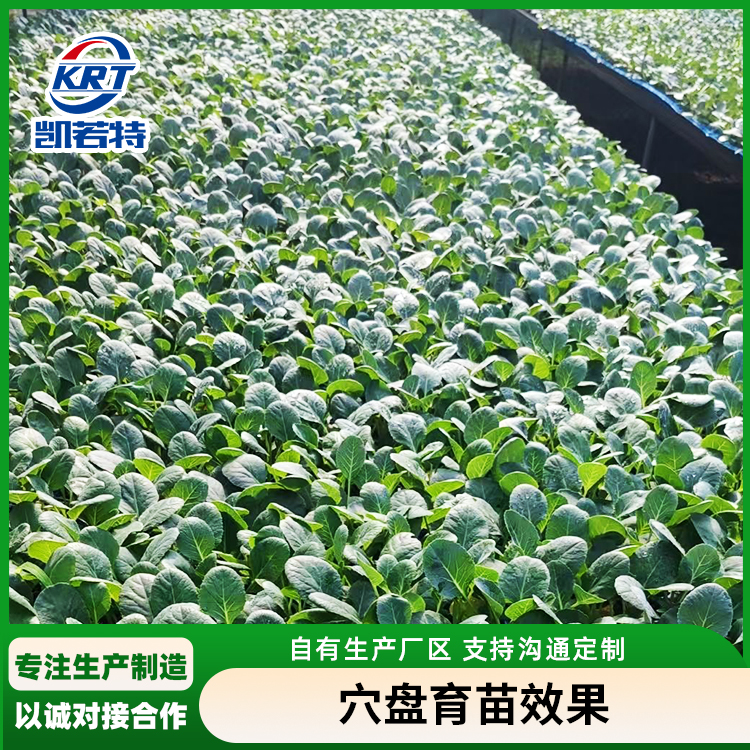 滚筒穴盘育苗机
