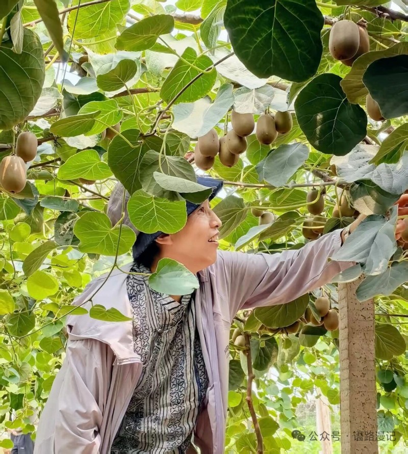 杨凌绿阳高新农业发展有限责任公司