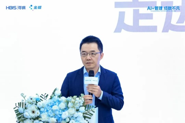 1789097414819668.jpg 金蝶AI云星空