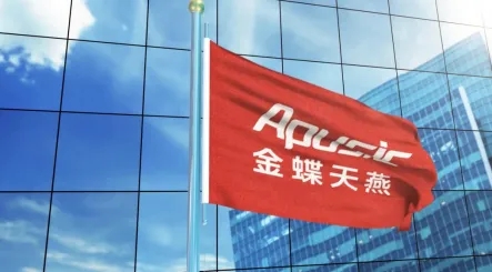 1789097773495903.jpg 金蝶财务软件