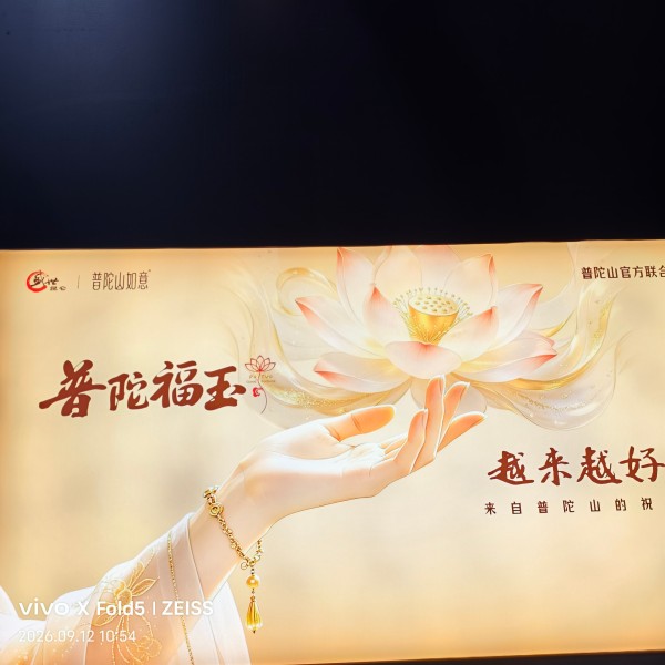 1789385729219384.jpg 秦岭翠香猕猴桃