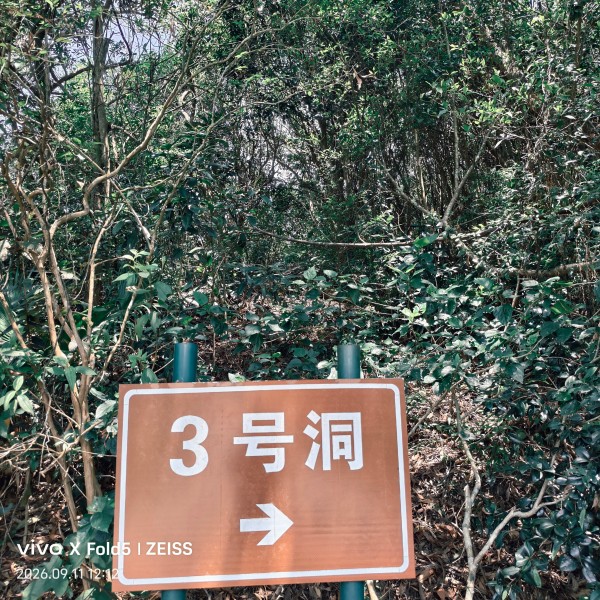 1789388767142637.jpg 秦岭翠香猕猴桃