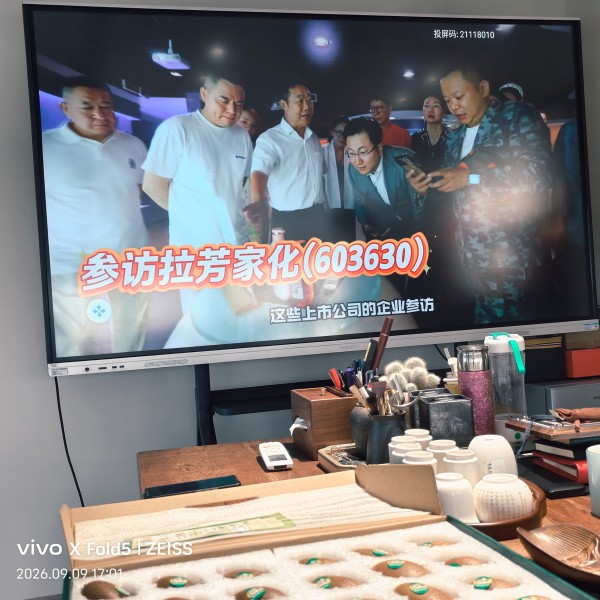 秦岭猕猴桃