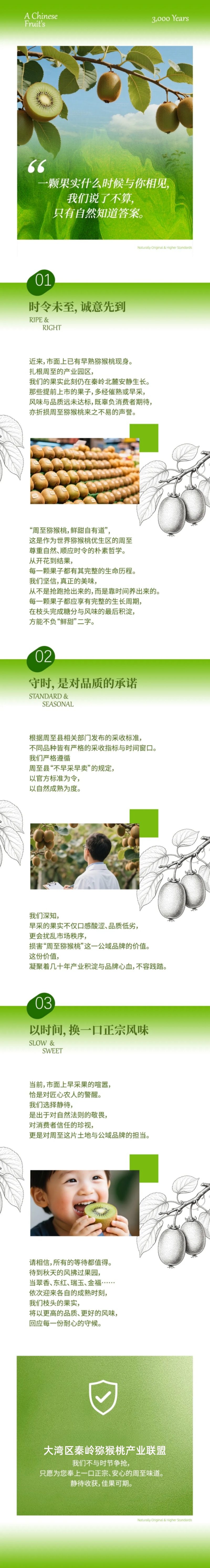 秦岭猕猴桃