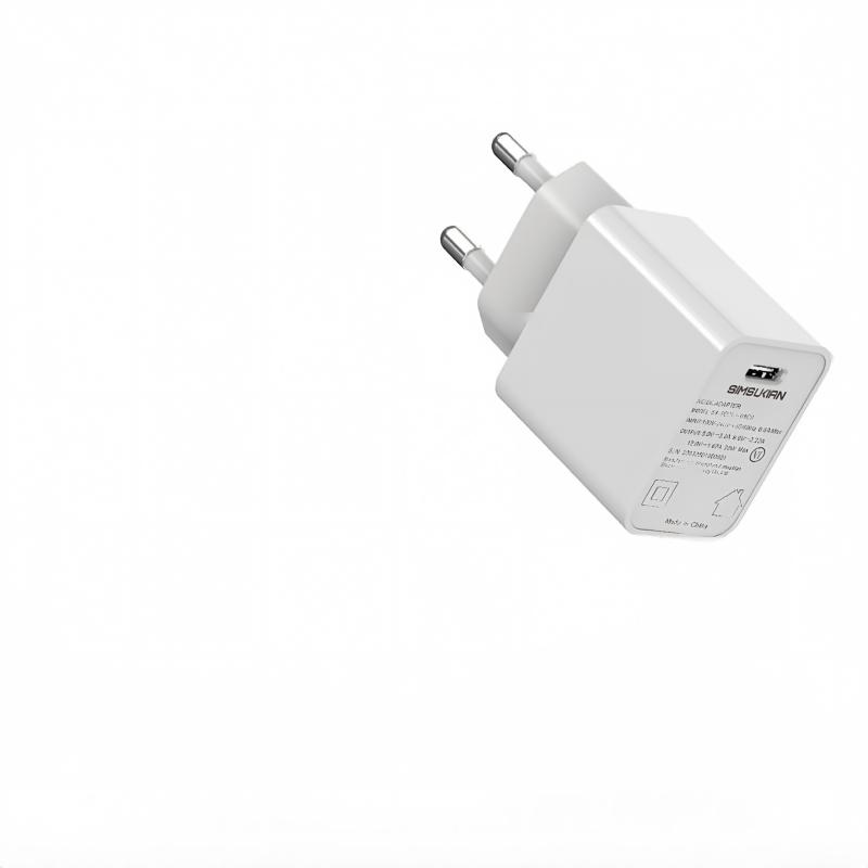 Fast Charger