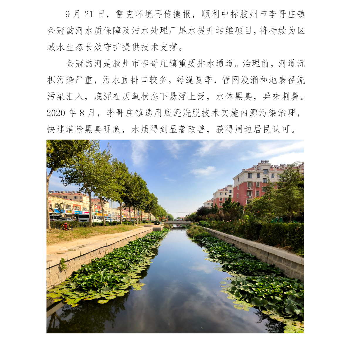 胶州李哥庄镇