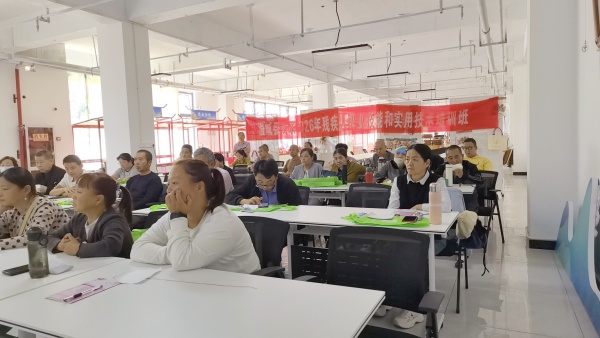 非遗传承人王春莉