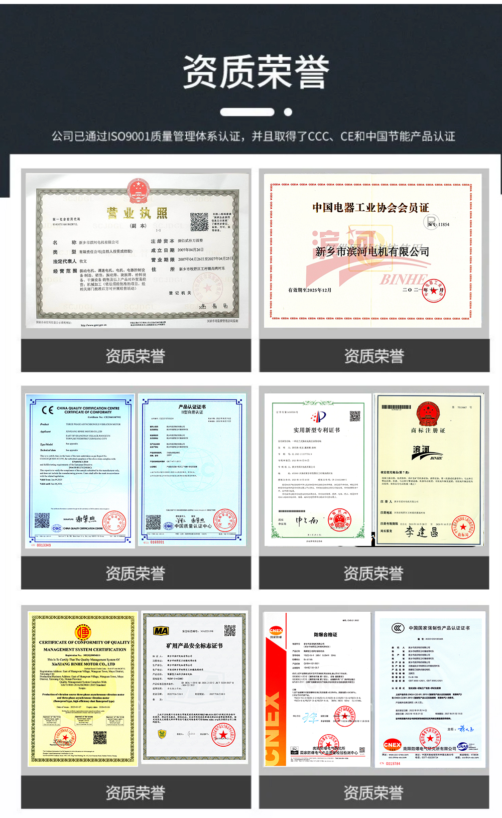 1792032295663583.jpg 振动电机