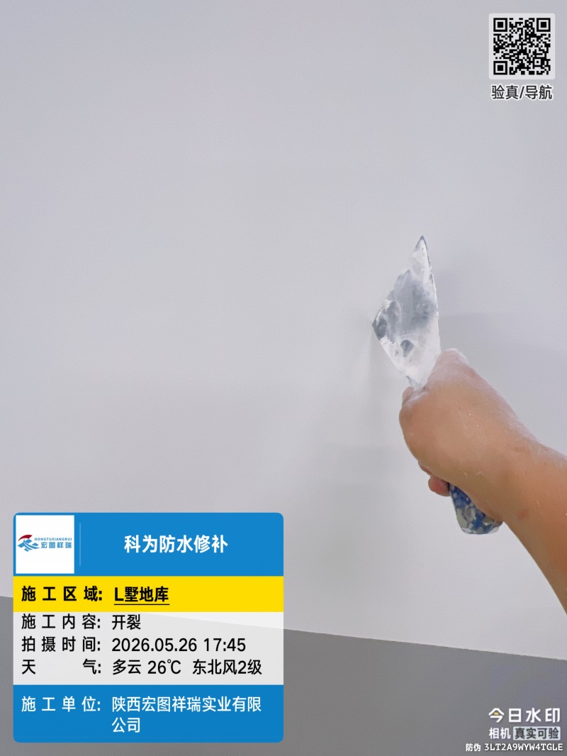 陕西宏图祥瑞实业有限公司