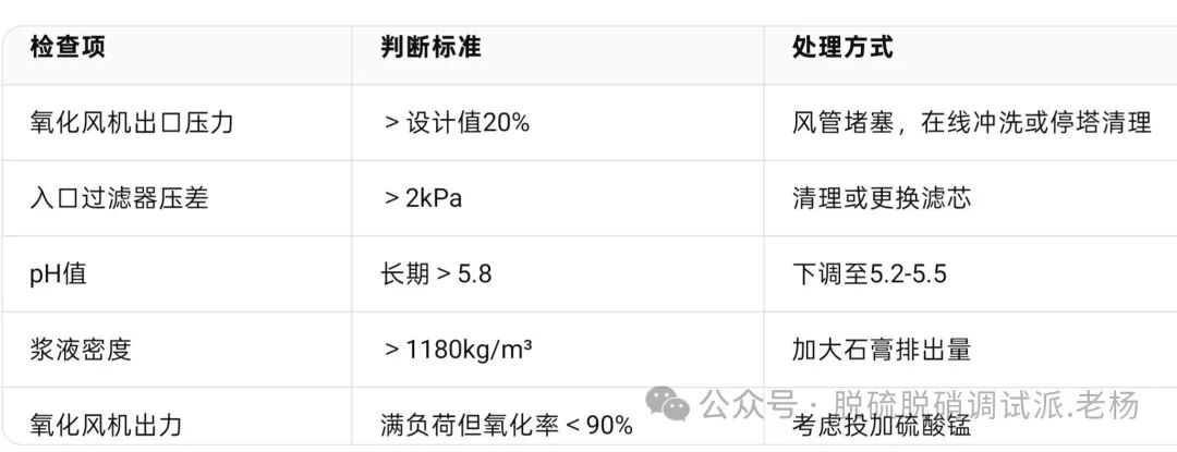 威海真空皮带脱水机
