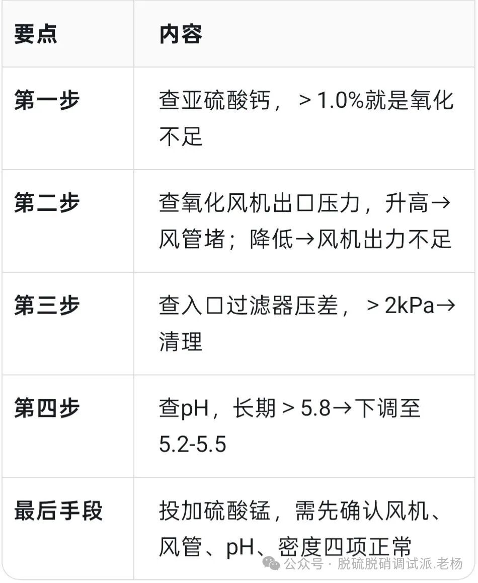 威海真空皮带脱水机
