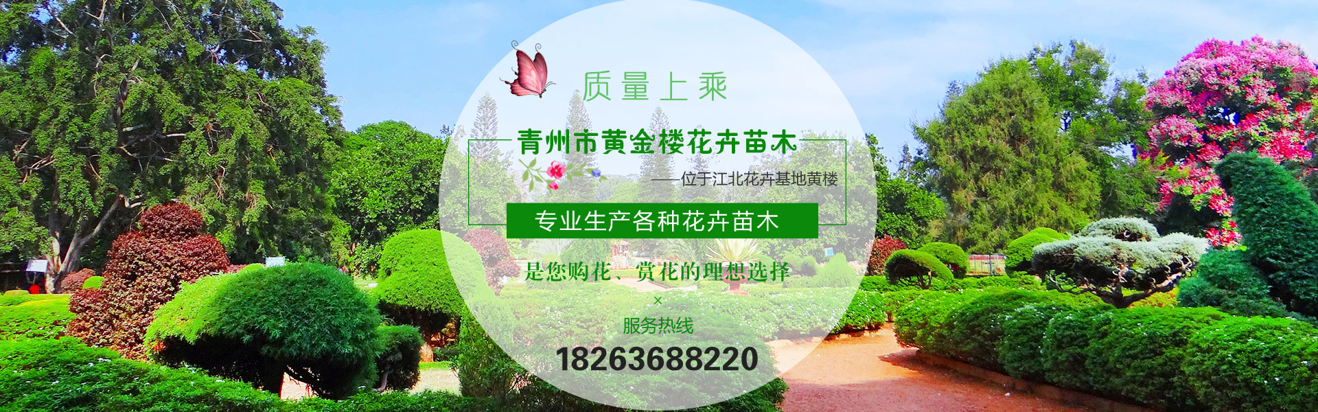 青州花卉苗木公司