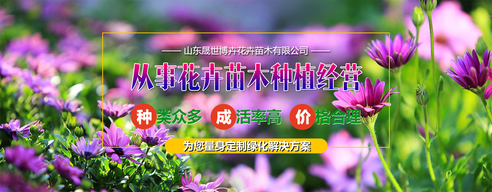 山东花卉苗木批发基地