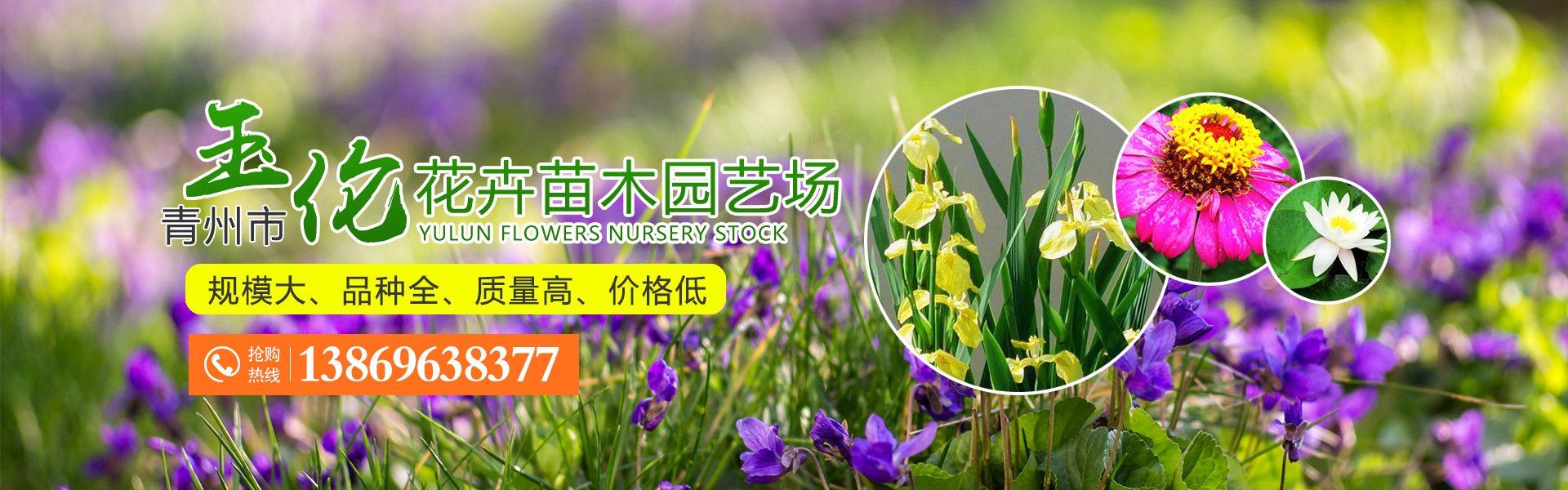 青州花卉苗木有限公司