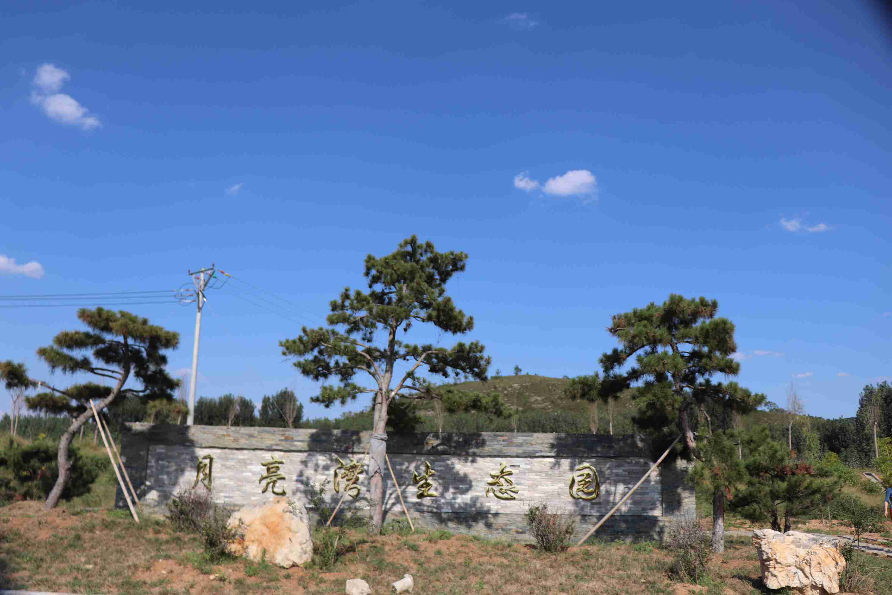 沂水哪裡垂釣好_臨沂垂釣園-沂南縣盛世莊園家庭農場