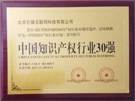 中国知识产权行业30强