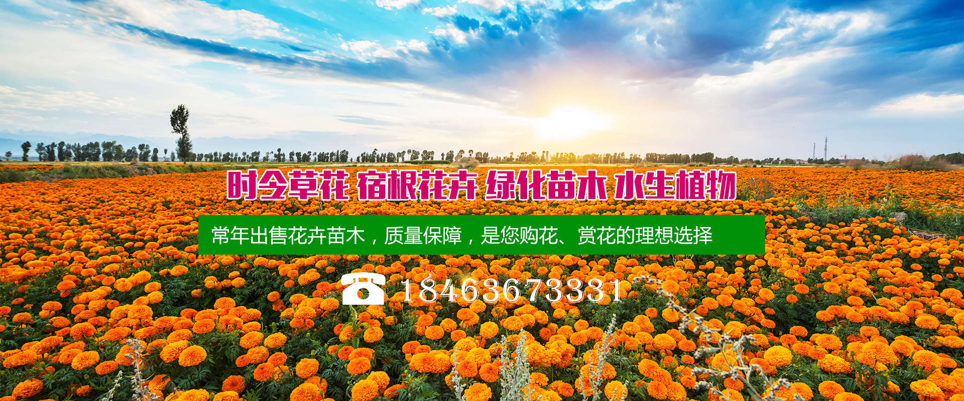 全国花卉苗木基地排名