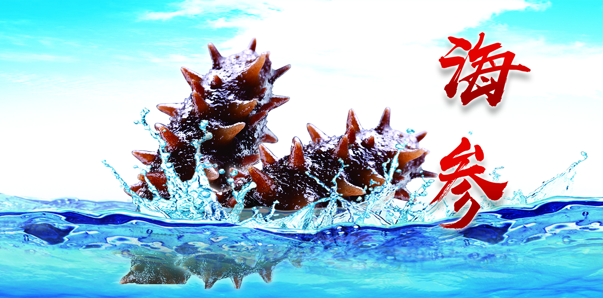 烟台参聚源海参