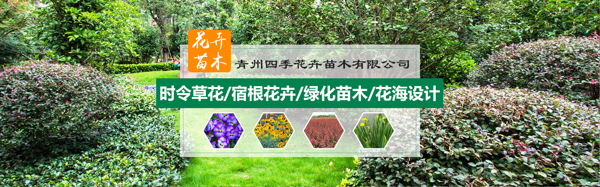 山东苗木花卉批发市场电话