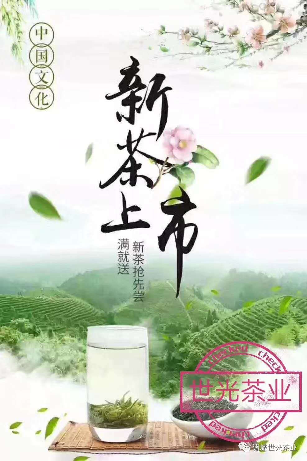 北方绿茶|诸城茶叶|桃林茶|诸城绿茶|诸城红茶-诸城市世光茶叶专业