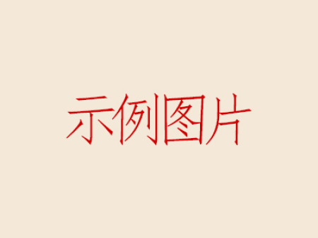 示例