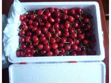 泡沫水果箱应用