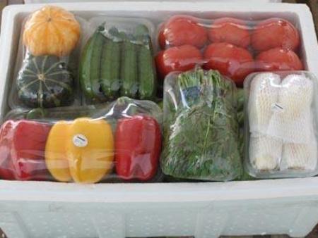 泡沫蔬菜箱应用案例