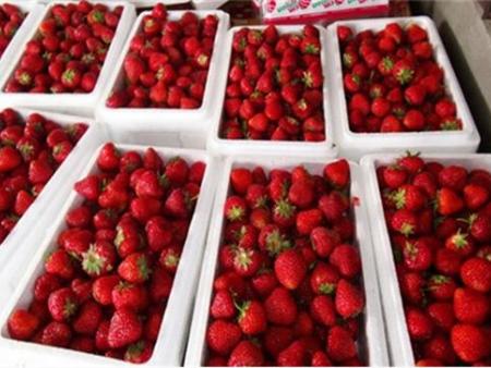 泡沫水果箱应用案例