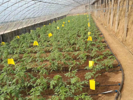 2017年齐河县生态循环农业示范项目