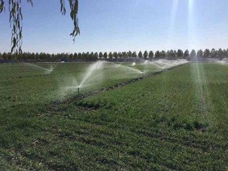 武城县农乐蔬菜专业合作社水肥一体化喷灌工程建设项目