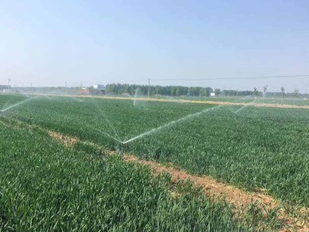 枣庄市粮食作物智能水肥一体化推广示范项目