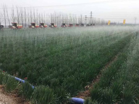 禹城市2018年现代高效农业发展-粮棉油绿色高质高效创建项目