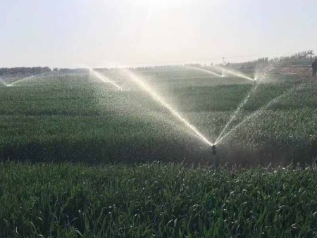 武城县四女寺镇高标准农田示范区建设项目三标段水肥一体化项目
